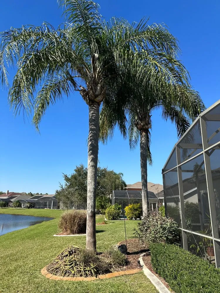 Affordable landscape design in Orlando, FL by Pro Everlasting Lawn Care Service