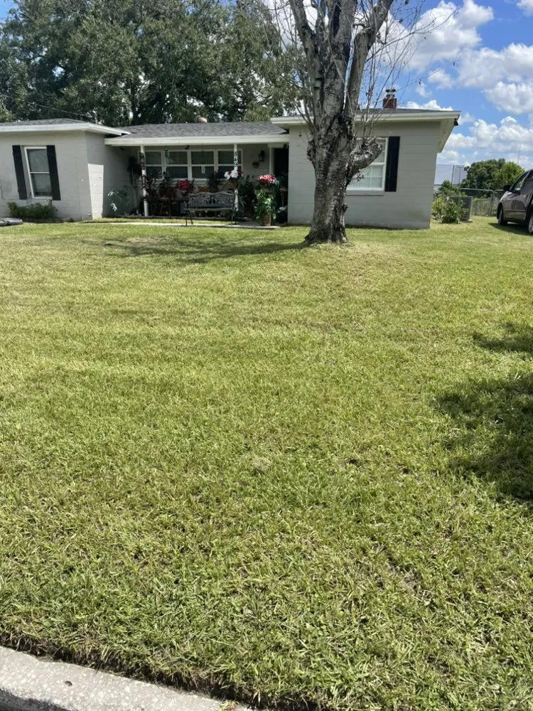 Expert lawn care service with custom design across Orlando, FL - Pro Everlasting Lawn Care Service