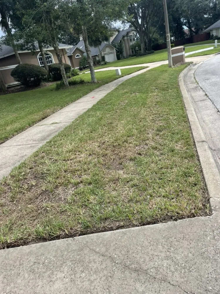 Custom landscaping services experts serving Orlando, FL - Pro Everlasting Lawn Care Service