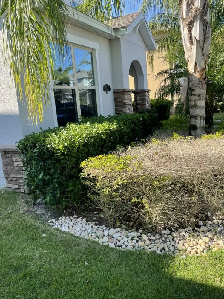 Expert garden landscaping for outdoor upgrades across Orlando, FL - Pro Everlasting Lawn Care Service