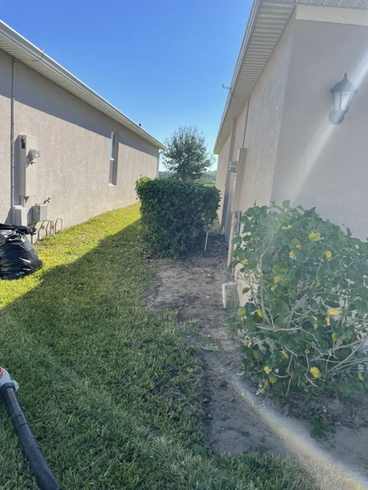 Trusted yard cleanup service experts serving Orlando, FL - Pro Everlasting Lawn Care Service