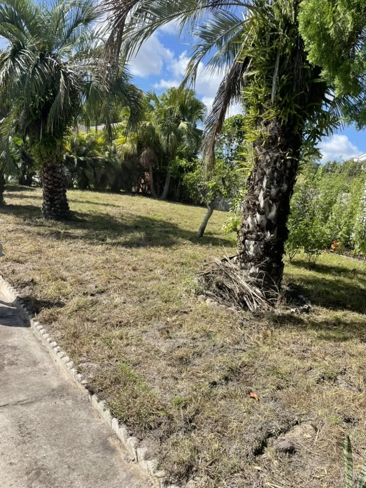 Custom landscape design near you in Orlando, FL by Pro Everlasting Lawn Care Service