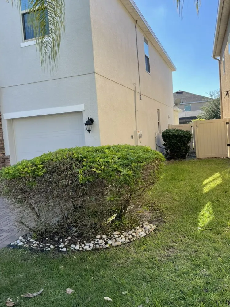 Expert landscape installation experts serving Orlando, FL - Pro Everlasting Lawn Care Service