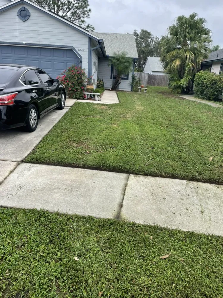Affordable yard maintenance experts serving Orlando, FL - Pro Everlasting Lawn Care Service