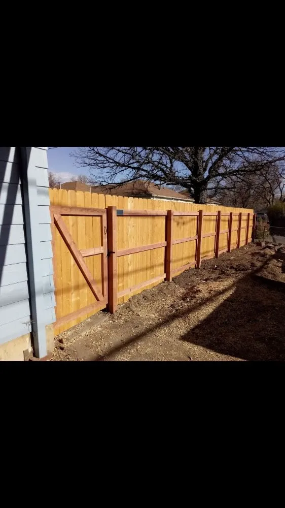 Top-rated lawn care service in Denver, CO by Pro Fencing and Landscaping