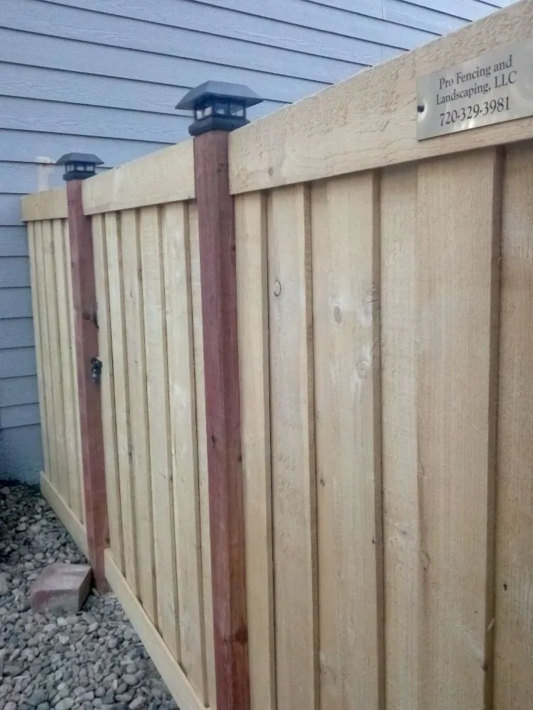 Reliable landscaping services for year-round maintenance across Denver, CO - Pro Fencing and Landscaping