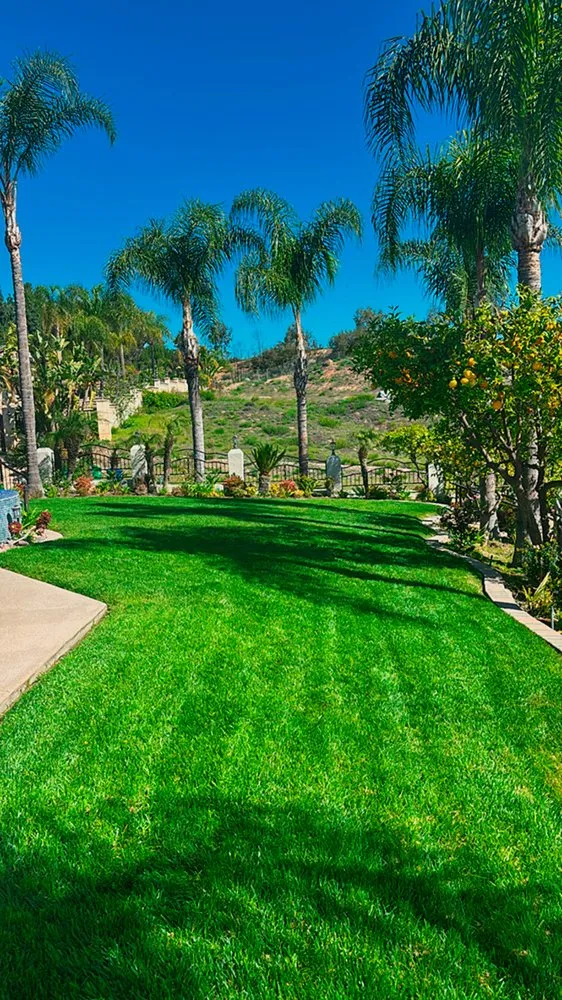 Professional landscape design in San Diego, CA by Pro Flow
