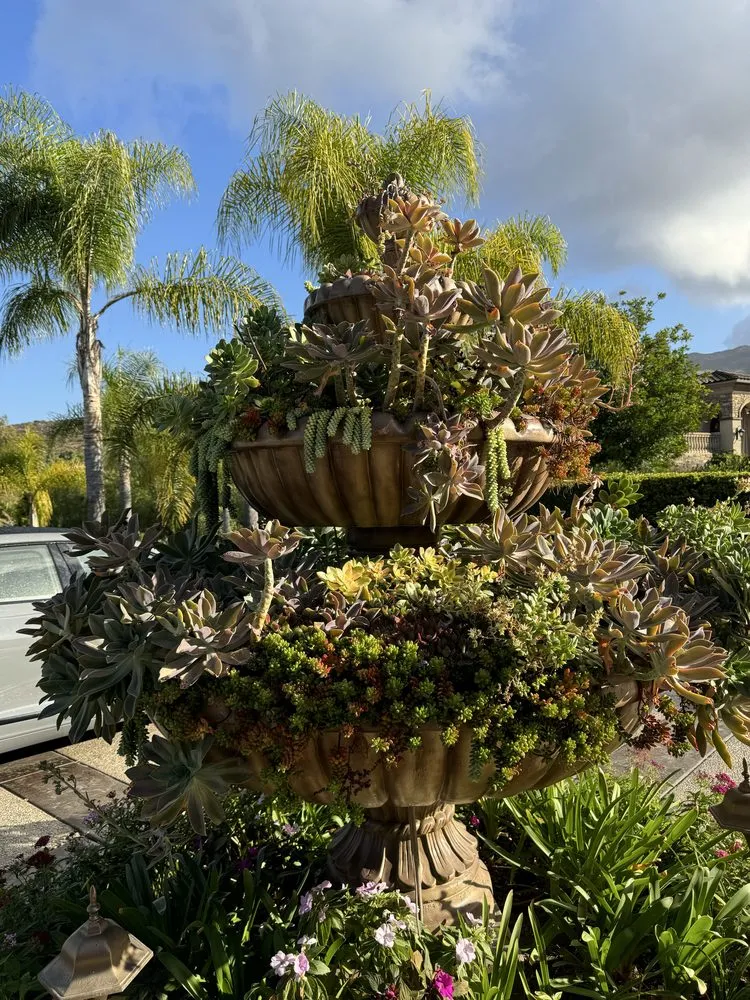 Professional landscape design in San Diego, CA by Pro Flow