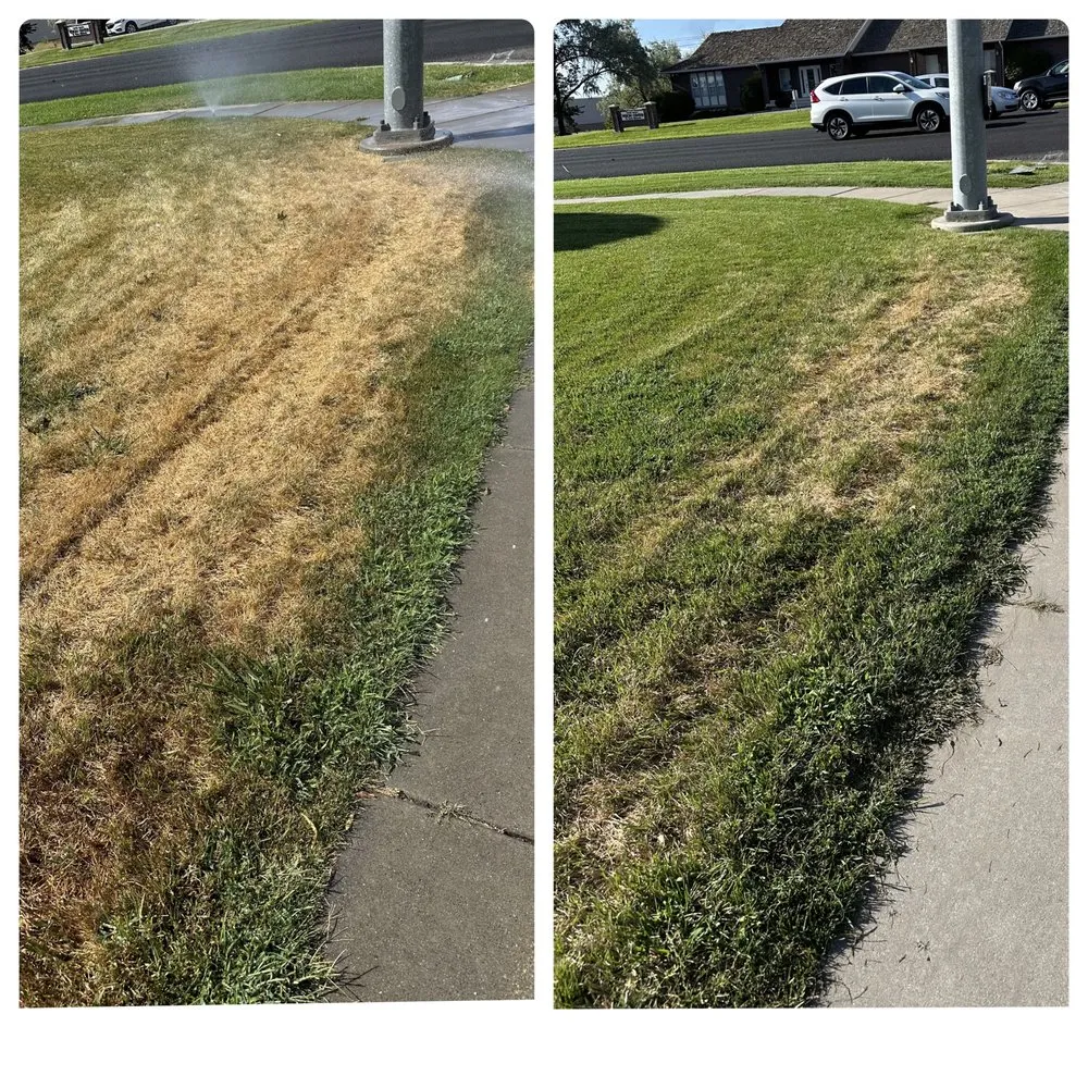 Expert lawn care service for beautiful yards across Providence, UT - Pro Flow Sprinklers