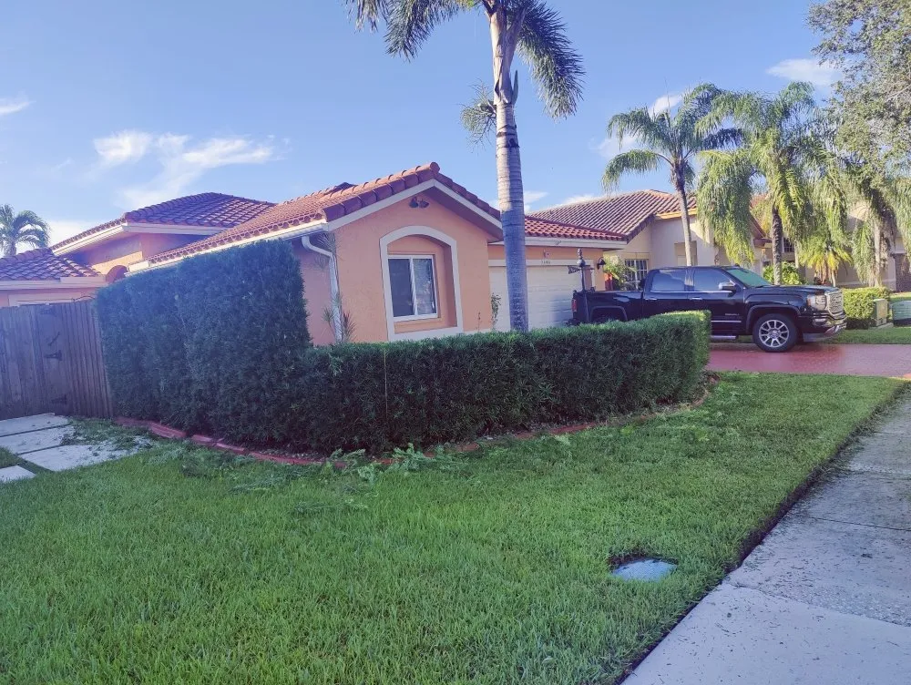 Expert yard cleanup service in Davie, FL - Pro Garden Landscaping