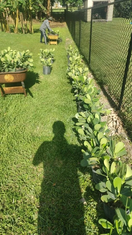 Local lawn care service experts serving Davie, FL - Pro Garden Landscaping
