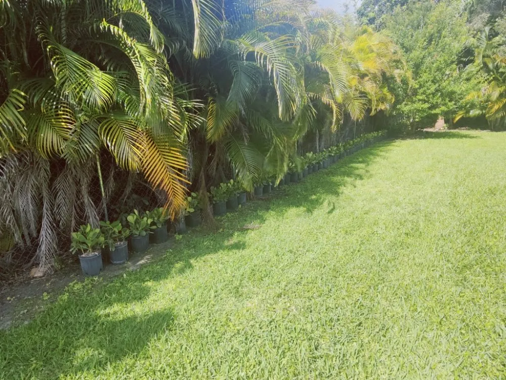 Expert residential landscaping in Davie, FL - Pro Garden Landscaping