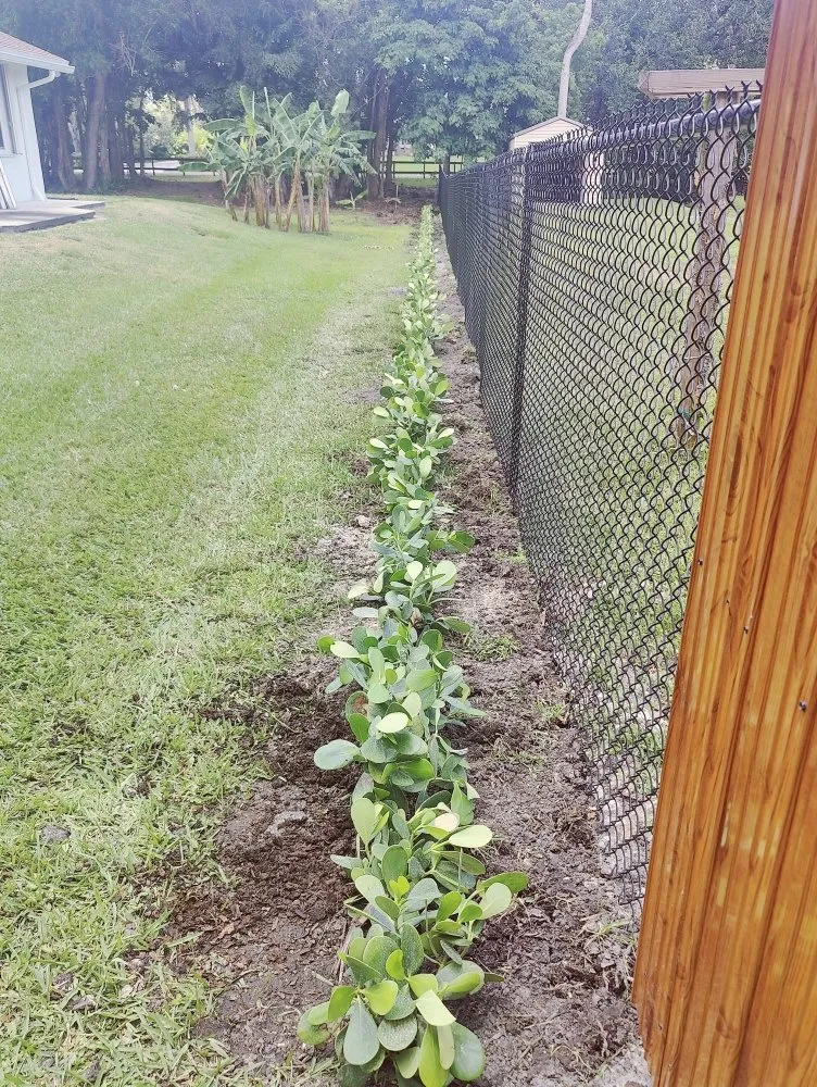 Local outdoor landscaping experts serving Davie, FL - Pro Garden Landscaping