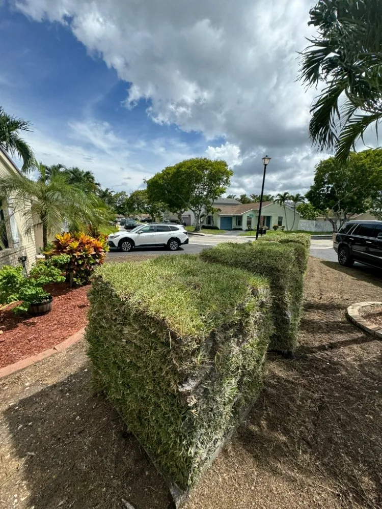 Reliable outdoor landscaping in Davie, FL - Pro Garden Landscaping
