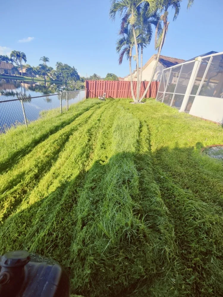 Expert landscaping services in Davie, FL - Pro Garden Landscaping