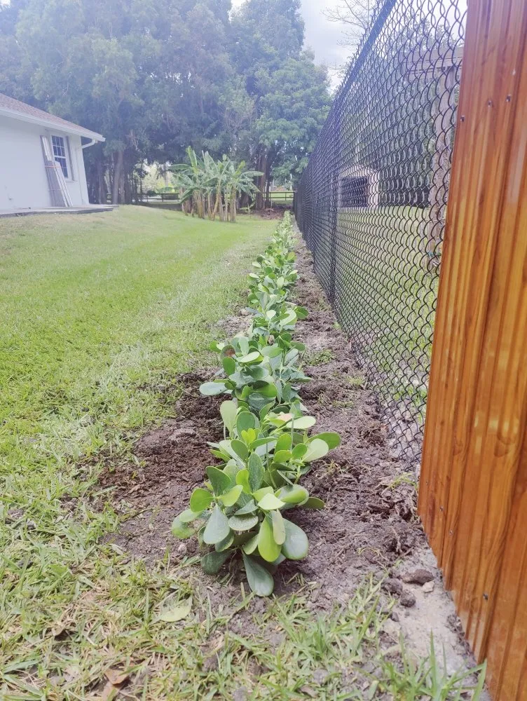 Reliable yard maintenance in Davie, FL by Pro Garden Landscaping