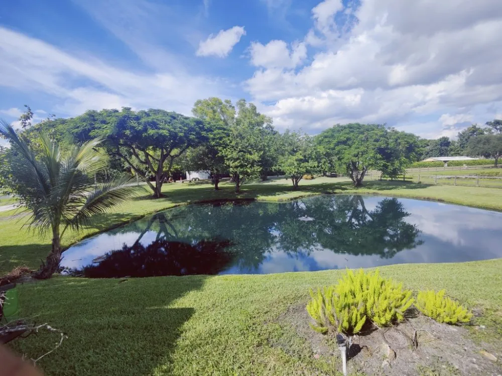 Expert lawn care service for outdoor upgrades in Davie, FL by Pro Garden Landscaping