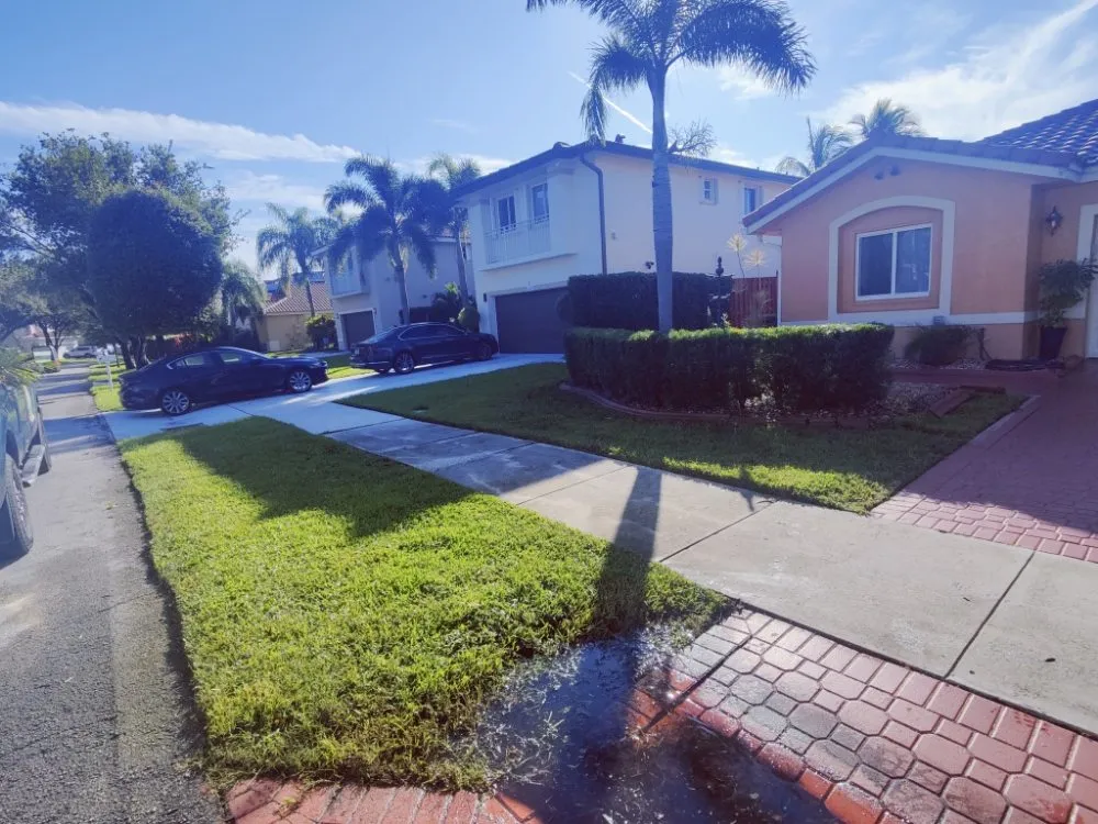 Affordable outdoor landscaping for year-round maintenance across Davie, FL - Pro Garden Landscaping