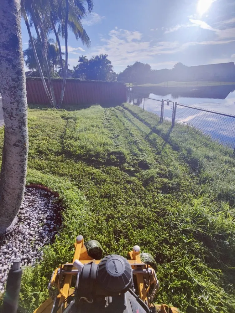 Expert yard cleanup service for homes across Davie, FL - Pro Garden Landscaping
