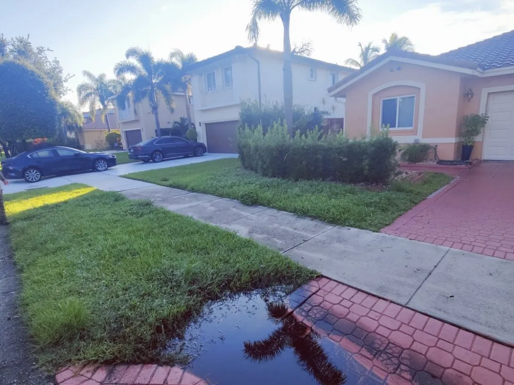 Custom outdoor landscaping experts serving Davie, FL - Pro Garden Landscaping