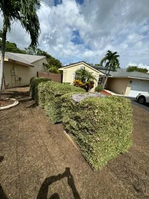 Pro Garden Landscaping Logo