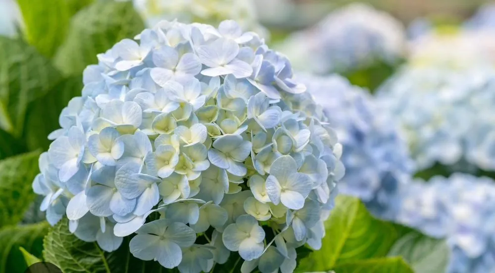 Trusted lawn mowing service in Kingston, MA - Pro Gardens and Lawns