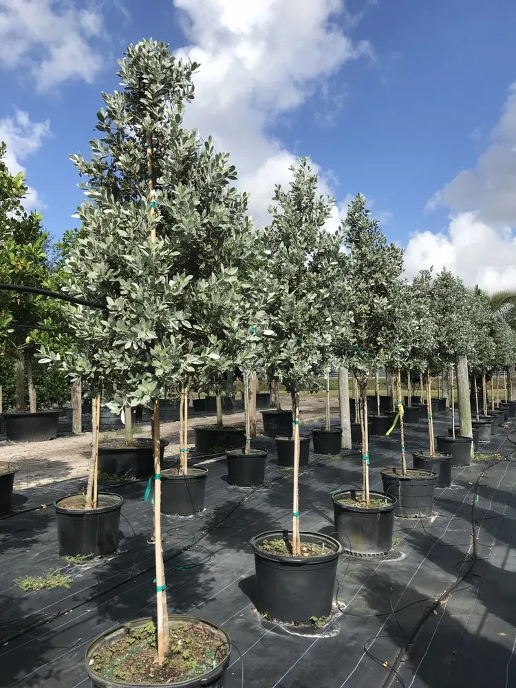 Top-rated garden landscaping in Delray Beach, FL by Pro Gardens