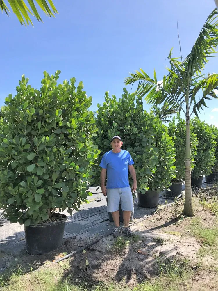 Affordable outdoor landscaping for residential properties across Delray Beach, FL - Pro Gardens