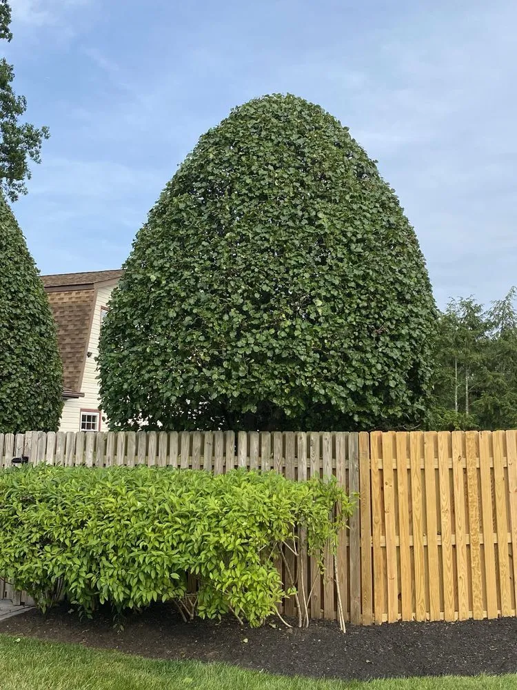 Custom landscape installation in Freehold, NJ - Pro Gonzalez Landscaping