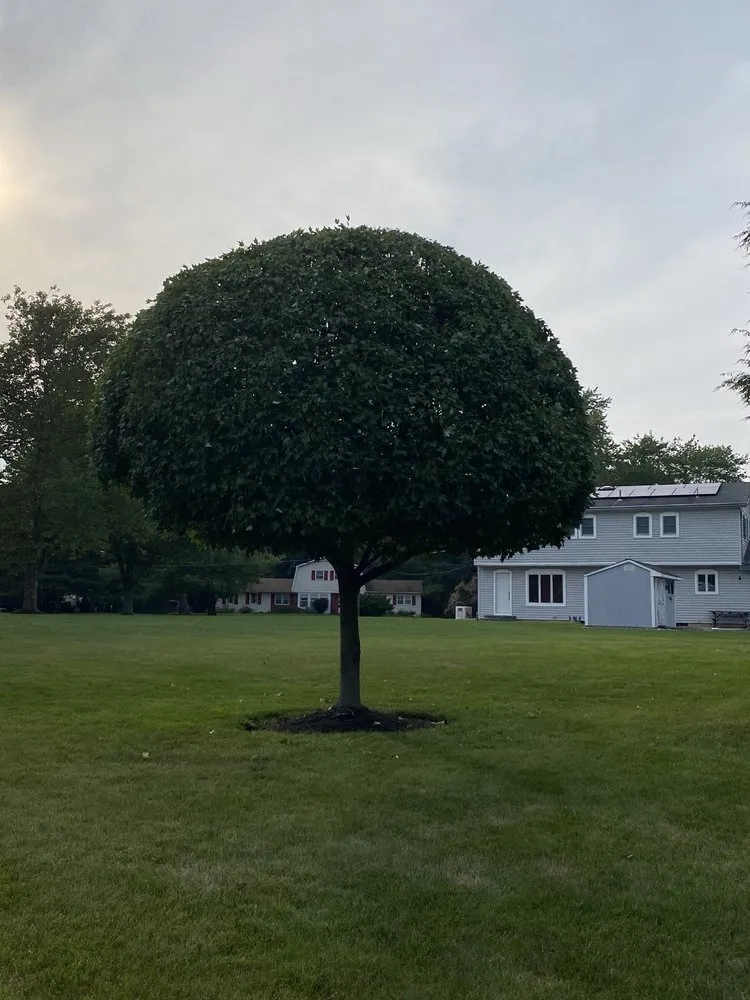 Professional landscape installation experts serving Freehold, NJ - Pro Gonzalez Landscaping