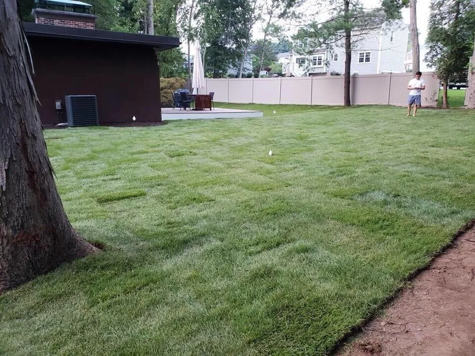 Expert lawn care service for beautiful yards in Guilford, CT by Pro Grass