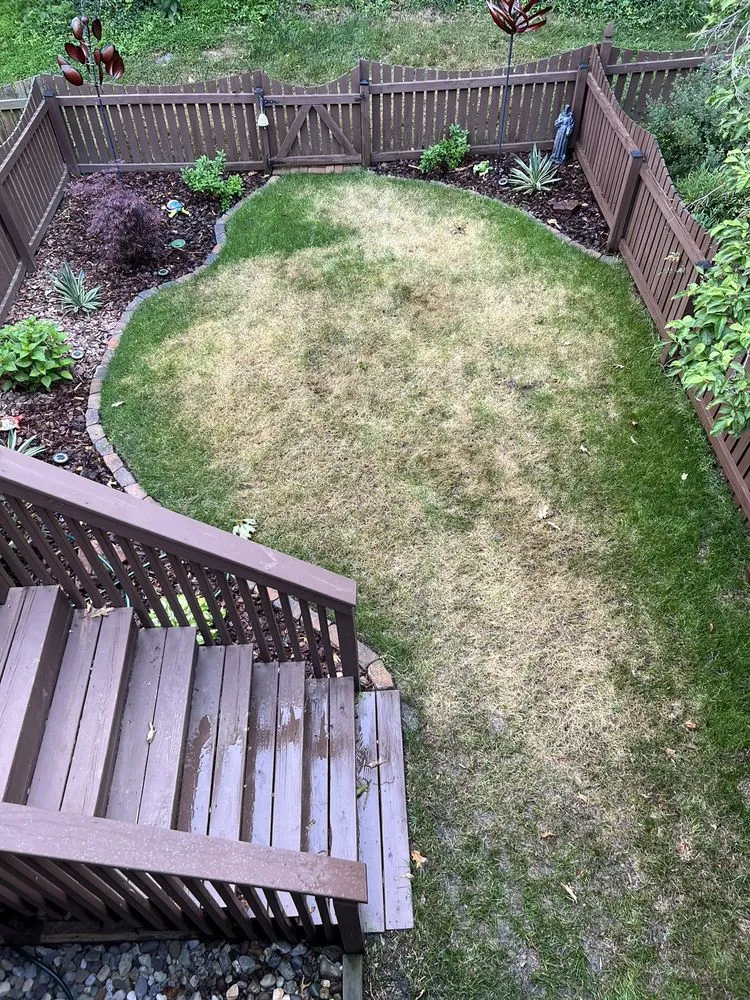 Local lawn care service in Lutherville Timonium, MD - Pro Grass