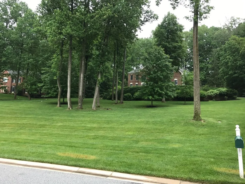 Trusted lawn mowing service experts serving Lutherville Timonium, MD - Pro Grass