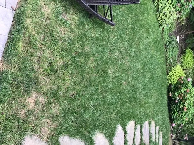 Expert landscaping services experts serving Lutherville Timonium, MD - Pro Grass