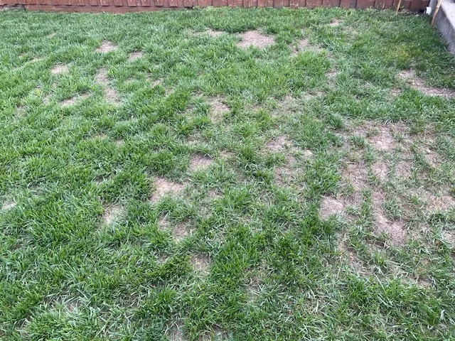Trusted yard maintenance for beautiful yards in Lutherville Timonium, MD by Pro Grass