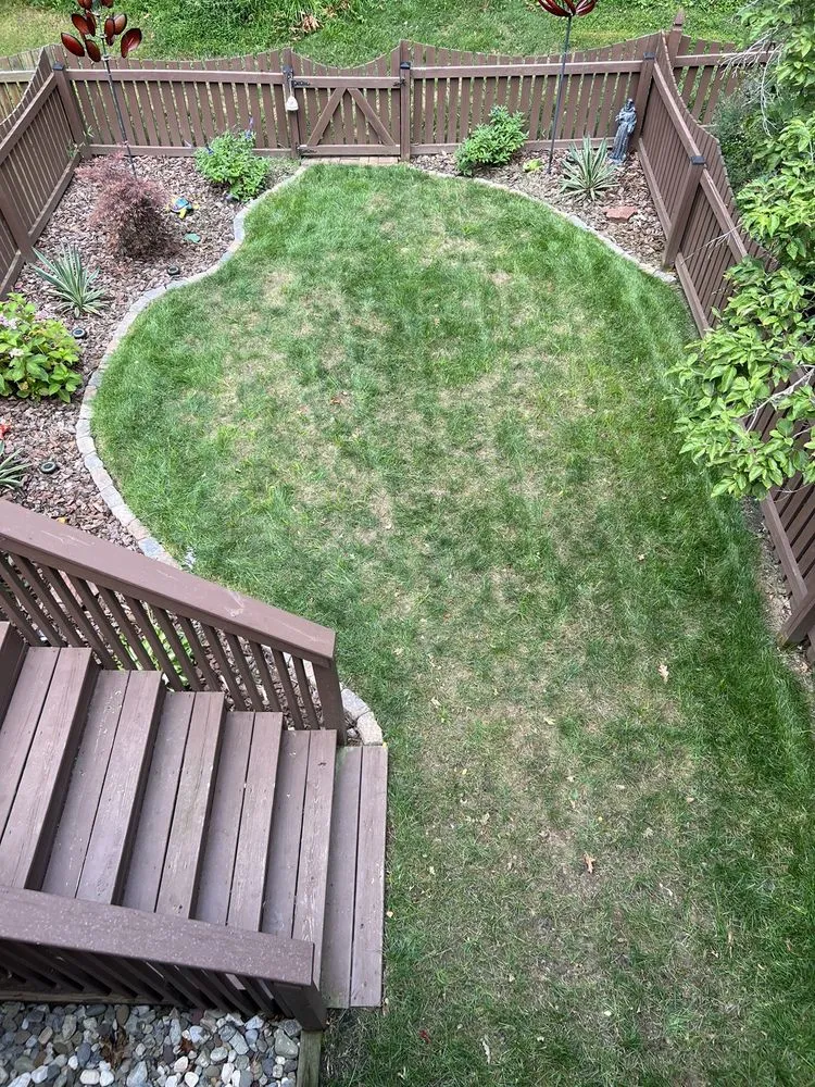 Affordable yard maintenance in Lutherville Timonium, MD by Pro Grass