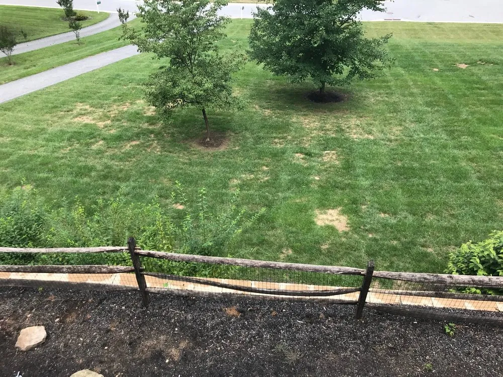 Expert lawn mowing service in Lutherville Timonium, MD - Pro Grass