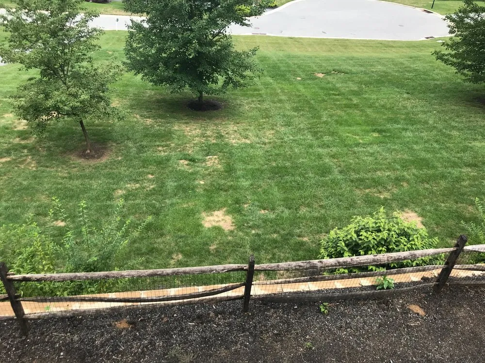Top-rated landscape design near you across Lutherville Timonium, MD - Pro Grass