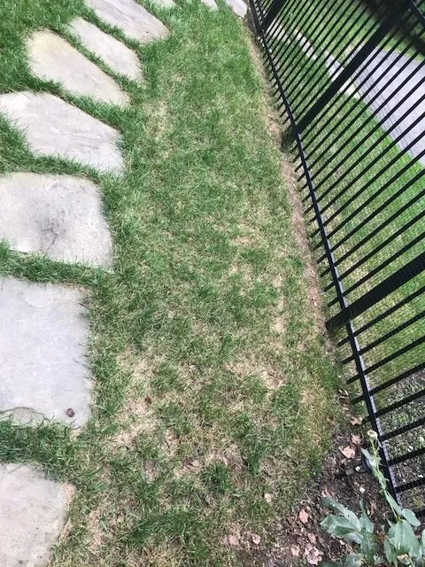 Local landscape design near you across Lutherville Timonium, MD - Pro Grass
