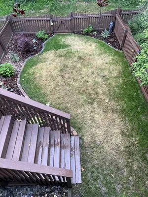 Pro Grass