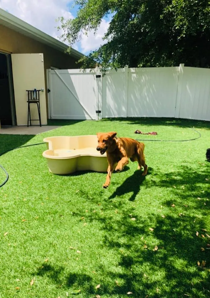 Expert garden landscaping in Charleston, SC - Pro Green