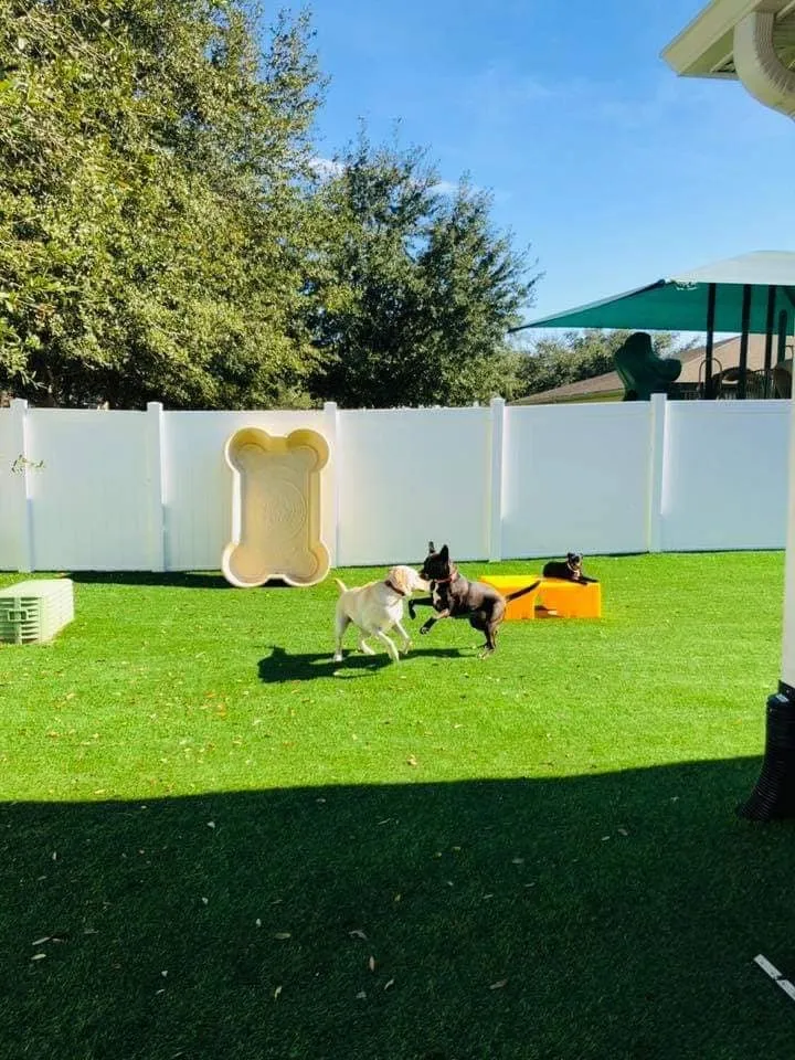 Expert lawn mowing service in Charleston, SC - Pro Green