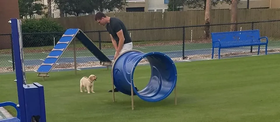 Affordable outdoor landscaping experts serving Charleston, SC - Pro Green