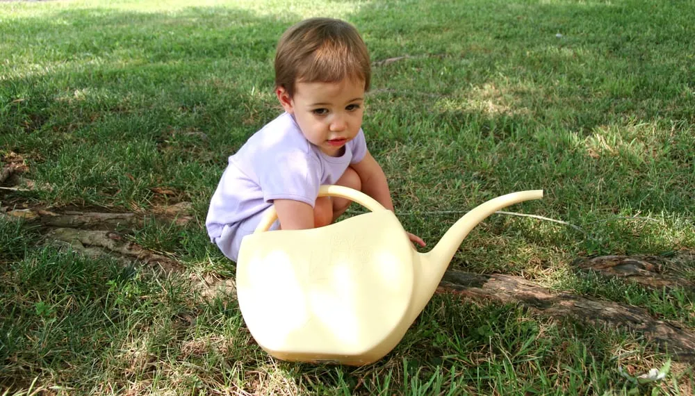 Professional yard cleanup service in Dearborn, MI by Pro Green Fertilizing