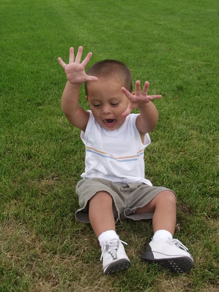 Expert landscape design experts serving Dearborn, MI - Pro Green Fertilizing