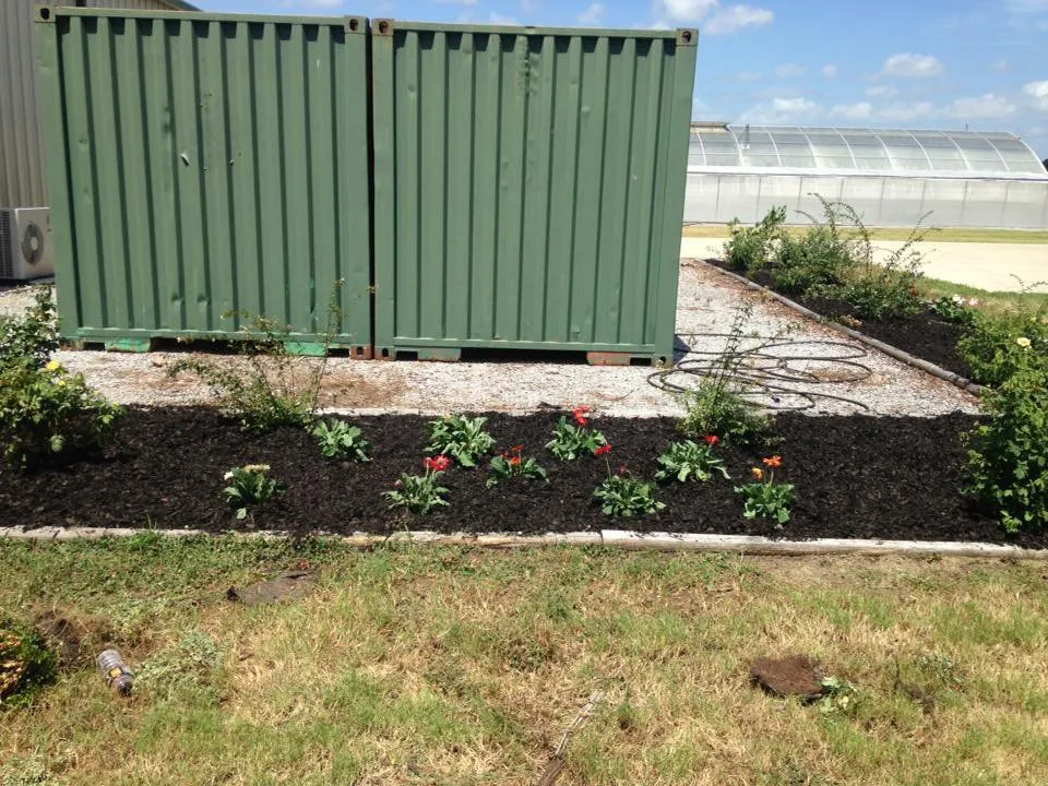 Custom yard maintenance in Greenville, MS by Pro Green