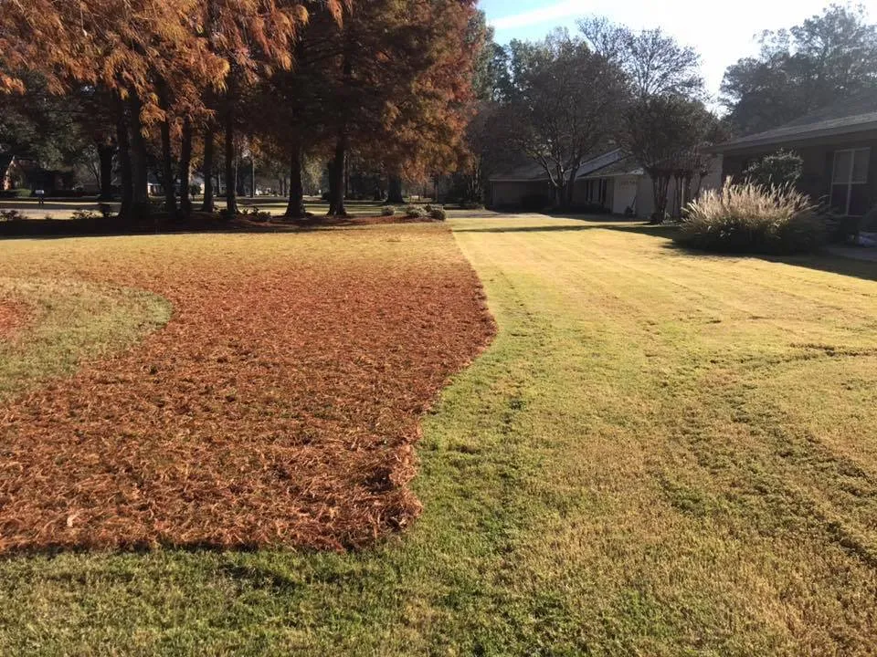 Reliable yard maintenance in Greenville, MS by Pro Green