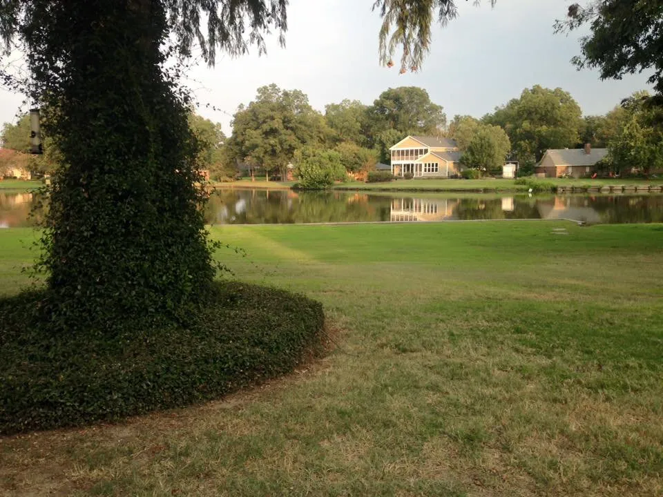 Custom yard maintenance experts serving Greenville, MS - Pro Green