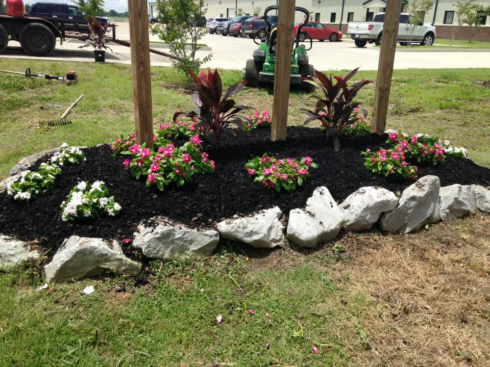 Expert yard maintenance in Greenville, MS by Pro Green