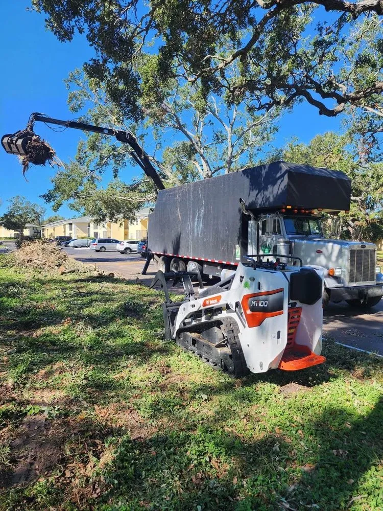 Reliable yard cleanup service experts serving St. Petersburg, FL - Pro Green Grounds Maintenance
